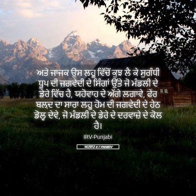 Picture 05 - ਅਹਬਾਰ 4:7 PANIRV - ਅਤੇ ਜਾਜਕ ਉਸ ਲਹੂ - Bible Verse Picture