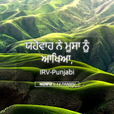 Picture 05 - ਅਹਬਾਰ 5:14 PANIRV - ਯਹੋਵਾਹ ਨੇ ਮੂਸਾ ਨੂੰ - Bible Verse Picture
