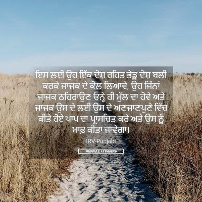 Picture 05 - ਅਹਬਾਰ 5:18 PANIRV - ਇਸ ਲਈ ਉਹ ਇੱਕ ਦੋਸ਼ - Bible Verse Picture