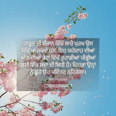 Picture 05 - ਅਹਬਾਰ 6:18 PANIRV - ਹਾਰੂਨ ਦੀ ਸੰਤਾਨ - Bible Verse Picture