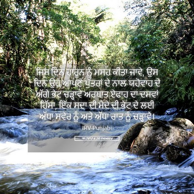 Picture 05 - ਅਹਬਾਰ 6:20 PANIRV - ਜਿਸ ਦਿਨ ਹਾਰੂਨ ਨੂੰ - Bible Verse Picture