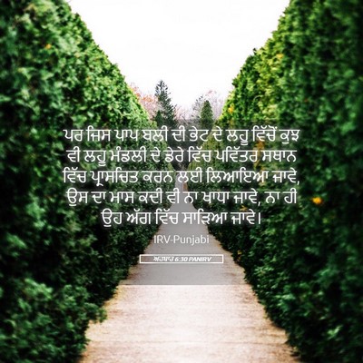 Picture 05 - ਅਹਬਾਰ 6:30 PANIRV - ਪਰ ਜਿਸ ਪਾਪ ਬਲੀ ਦੀ - Bible Verse Picture