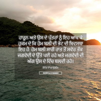 Picture 05 - ਅਹਬਾਰ 6:9 PANIRV - ਹਾਰੂਨ ਅਤੇ ਉਸ ਦੇ - Bible Verse Picture