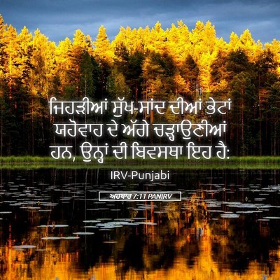 Picture 05 - ਅਹਬਾਰ 7:11 PANIRV - ਜਿਹੜੀਆਂ ਸੁੱਖ-ਸਾਂਦ - Bible Verse Picture