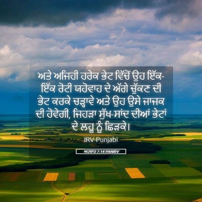 Picture 05 - ਅਹਬਾਰ 7:14 PANIRV - ਅਤੇ ਅਜਿਹੀ ਹਰੇਕ ਭੇਟ - Bible Verse Picture