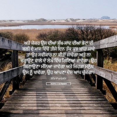 Picture 05 - ਅਹਬਾਰ 7:18 PANIRV - ਅਤੇ ਜੇਕਰ ਉਸ ਦੀਆਂ - Bible Verse Picture