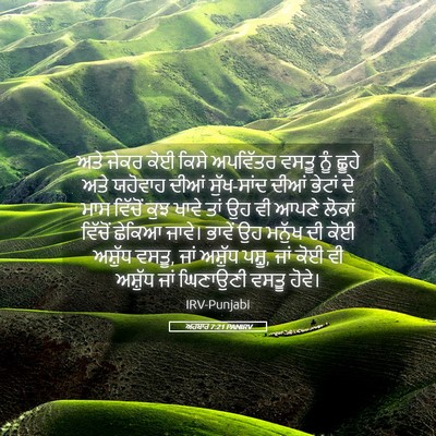 Picture 05 - ਅਹਬਾਰ 7:21 PANIRV - ਅਤੇ ਜੇਕਰ ਕੋਈ ਕਿਸੇ - Bible Verse Picture