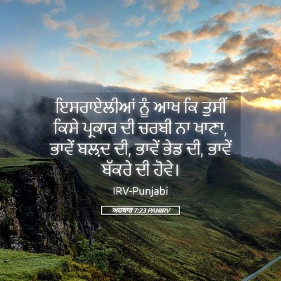 Picture 05 - ਅਹਬਾਰ 7:23 PANIRV - ਇਸਰਾਏਲੀਆਂ ਨੂੰ ਆਖ - Bible Verse Picture