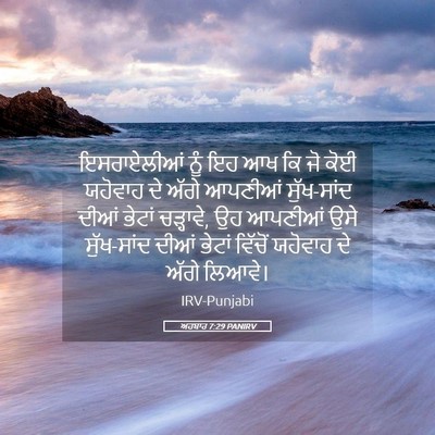 Picture 05 - ਅਹਬਾਰ 7:29 PANIRV - ਇਸਰਾਏਲੀਆਂ ਨੂੰ ਇਹ - Bible Verse Picture