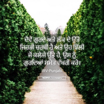 Picture 05 - ਅਹਬਾਰ 7:4 PANIRV - ਦੋਵੇਂ ਗੁਰਦੇ ਅਤੇ - Bible Verse Picture