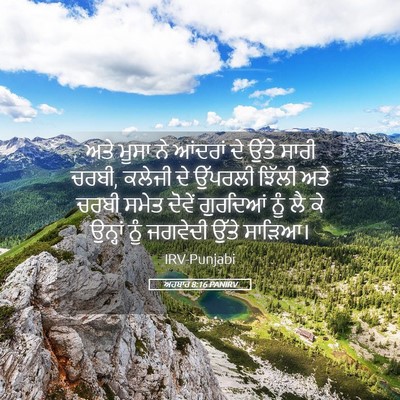 Picture 05 - ਅਹਬਾਰ 8:16 PANIRV - ਅਤੇ ਮੂਸਾ ਨੇ ਆਂਦਰਾਂ - Bible Verse Picture