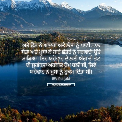 Picture 05 - ਅਹਬਾਰ 8:21 PANIRV - ਅਤੇ ਉਸ ਨੇ ਆਂਦਰਾਂ - Bible Verse Picture