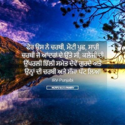 Picture 05 - ਅਹਬਾਰ 8:25 PANIRV - ਫੇਰ ਉਸ ਨੇ ਚਰਬੀ, - Bible Verse Picture