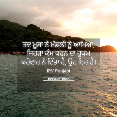 Picture 05 - ਅਹਬਾਰ 8:5 PANIRV - ਤਦ ਮੂਸਾ ਨੇ ਮੰਡਲੀ - Bible Verse Picture