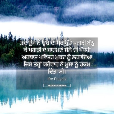Picture 05 - ਅਹਬਾਰ 8:9 PANIRV - ਤਦ ਉਸ ਨੇ ਉਹ ਦੇ ਸਿਰ - Bible Verse Picture