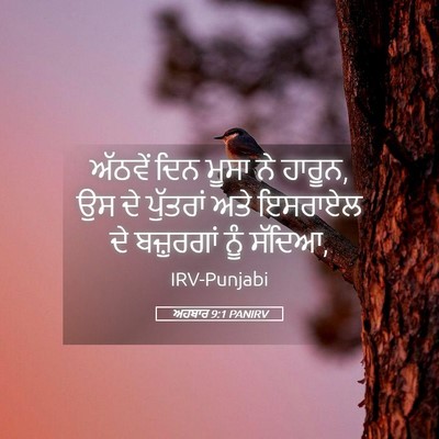 Picture 05 - ਅਹਬਾਰ 9:1 PANIRV - ਅੱਠਵੇਂ ਦਿਨ ਮੂਸਾ ਨੇ - Bible Verse Picture