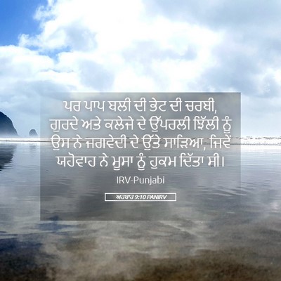 Picture 05 - ਅਹਬਾਰ 9:10 PANIRV - ਪਰ ਪਾਪ ਬਲੀ ਦੀ ਭੇਟ - Bible Verse Picture