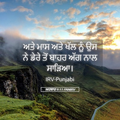 Picture 05 - ਅਹਬਾਰ 9:11 PANIRV - ਅਤੇ ਮਾਸ ਅਤੇ ਖੱਲ ਨੂੰ - Bible Verse Picture