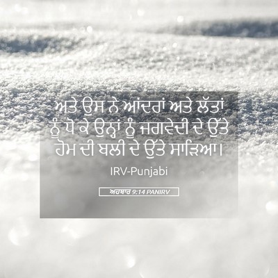 Picture 05 - ਅਹਬਾਰ 9:14 PANIRV - ਅਤੇ ਉਸ ਨੇ ਆਂਦਰਾਂ - Bible Verse Picture