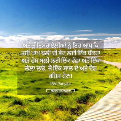 Picture 05 - ਅਹਬਾਰ 9:3 PANIRV - ਅਤੇ ਤੂੰ ਇਸਰਾਏਲੀਆਂ - Bible Verse Picture