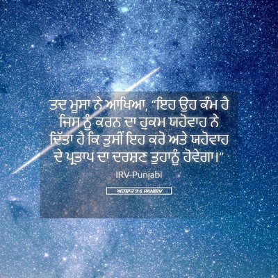 Picture 05 - ਅਹਬਾਰ 9:6 PANIRV - ਤਦ ਮੂਸਾ ਨੇ ਆਖਿਆ, - Bible Verse Picture