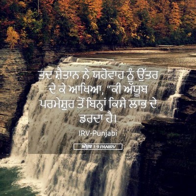 Picture 05 - ਅੱਯੂਬ 1:9 PANIRV - ਤਦ ਸ਼ੈਤਾਨ ਨੇ - Bible Verse Picture