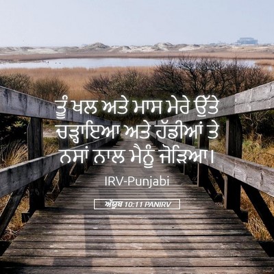Picture 05 - ਅੱਯੂਬ 10:11 PANIRV - ਤੂੰ ਖਲ ਅਤੇ ਮਾਸ ਮੇਰੇ - Bible Verse Picture