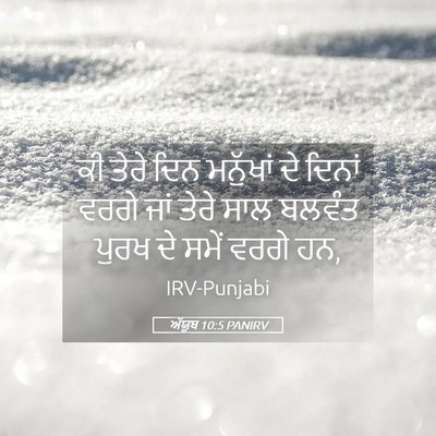 Picture 05 - ਅੱਯੂਬ 10:5 PANIRV - ਕੀ ਤੇਰੇ ਦਿਨ - Bible Verse Picture