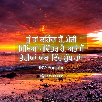 Picture 05 - ਅੱਯੂਬ 11:4 PANIRV - ਤੂੰ ਤਾਂ ਕਹਿੰਦਾ ਹੈਂ, - Bible Verse Picture