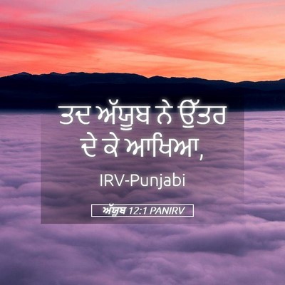 Picture 05 - ਅੱਯੂਬ 12:1 PANIRV - ਤਦ ਅੱਯੂਬ ਨੇ ਉੱਤਰ ਦੇ - Bible Verse Picture