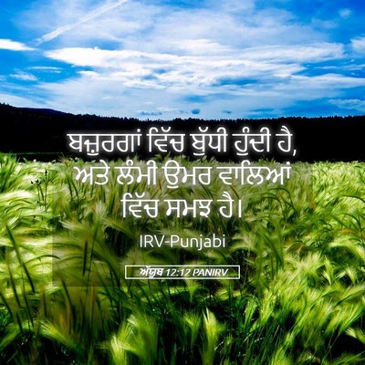 Picture 05 - ਅੱਯੂਬ 12:12 PANIRV - ਬਜ਼ੁਰਗਾਂ ਵਿੱਚ - Bible Verse Picture