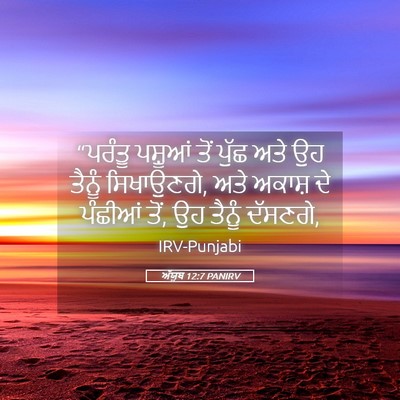 Picture 05 - ਅੱਯੂਬ 12:7 PANIRV - “ਪਰੰਤੂ ਪਸ਼ੂਆਂ ਤੋਂ - Bible Verse Picture