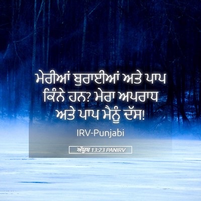 Picture 05 - ਅੱਯੂਬ 13:23 PANIRV - ਮੇਰੀਆਂ ਬੁਰਾਈਆਂ - Bible Verse Picture