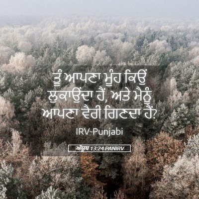 Picture 05 - ਅੱਯੂਬ 13:24 PANIRV - ਤੂੰ ਆਪਣਾ ਮੂੰਹ ਕਿਉਂ - Bible Verse Picture