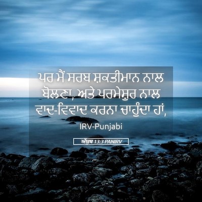 Picture 05 - ਅੱਯੂਬ 13:3 PANIRV - ਪਰ ਮੈਂ ਸਰਬ - Bible Verse Picture