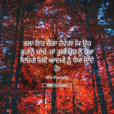Picture 05 - ਅੱਯੂਬ 13:9 PANIRV - ਭਲਾ ਇਹ ਚੰਗਾ ਹੋਵੇਗਾ - Bible Verse Picture