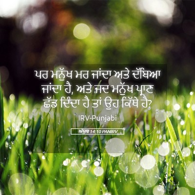 Picture 05 - ਅੱਯੂਬ 14:10 PANIRV - ਪਰ ਮਨੁੱਖ ਮਰ ਜਾਂਦਾ - Bible Verse Picture
