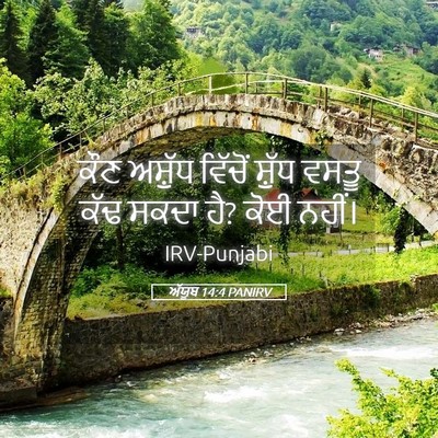 Picture 05 - ਅੱਯੂਬ 14:4 PANIRV - ਕੌਣ ਅਸ਼ੁੱਧ ਵਿੱਚੋਂ - Bible Verse Picture