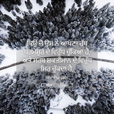 Picture 05 - ਅੱਯੂਬ 15:25 PANIRV - ਕਿਉਂ ਜੋ ਉਸ ਨੇ ਆਪਣਾ - Bible Verse Picture