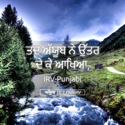 Picture 05 - ਅੱਯੂਬ 16:1 PANIRV - ਤਦ ਅੱਯੂਬ ਨੇ ਉੱਤਰ ਦੇ - Bible Verse Picture