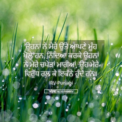 Picture 05 - ਅੱਯੂਬ 16:10 PANIRV - ਉਹਨਾਂ ਨੇ ਮੇਰੇ ਉੱਤੇ - Bible Verse Picture