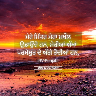 Picture 05 - ਅੱਯੂਬ 16:20 PANIRV - ਮੇਰੇ ਮਿੱਤਰ ਮੇਰਾ - Bible Verse Picture