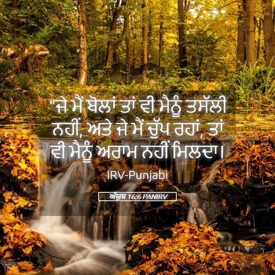 Picture 05 - ਅੱਯੂਬ 16:6 PANIRV - “ਜੇ ਮੈਂ ਬੋਲਾਂ ਤਾਂ - Bible Verse Picture