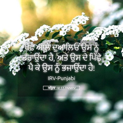 Picture 05 - ਅੱਯੂਬ 18:11 PANIRV - ਖੌਫ਼ ਆਲੇ ਦੁਆਲਿਓਂ - Bible Verse Picture