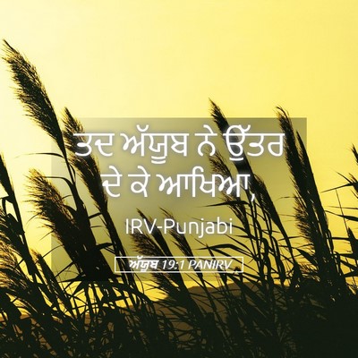 Picture 05 - ਅੱਯੂਬ 19:1 PANIRV - ਤਦ ਅੱਯੂਬ ਨੇ ਉੱਤਰ ਦੇ - Bible Verse Picture