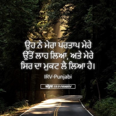 Picture 05 - ਅੱਯੂਬ 19:9 PANIRV - ਉਹ ਨੇ ਮੇਰਾ ਪਰਤਾਪ - Bible Verse Picture