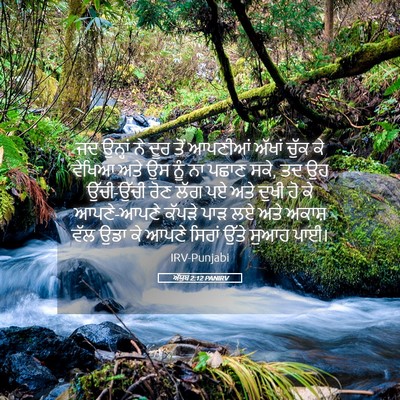Picture 05 - ਅੱਯੂਬ 2:12 PANIRV - ਜਦ ਉਨ੍ਹਾਂ ਨੇ ਦੂਰ - Bible Verse Picture
