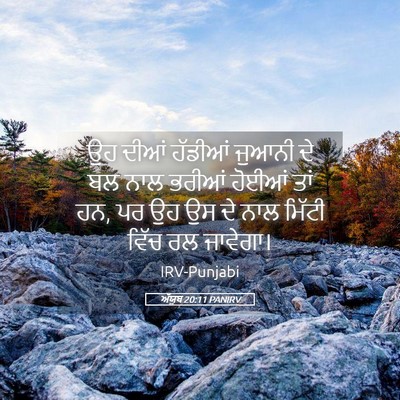Picture 05 - ਅੱਯੂਬ 20:11 PANIRV - ਉਹ ਦੀਆਂ ਹੱਡੀਆਂ - Bible Verse Picture