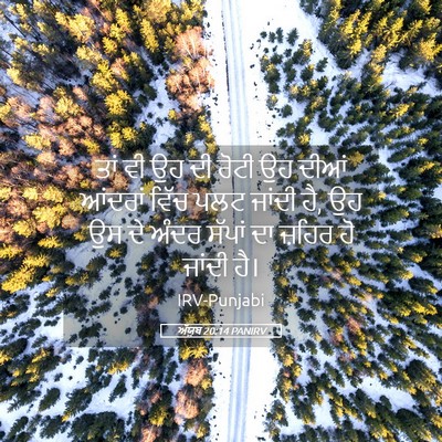 Picture 05 - ਅੱਯੂਬ 20:14 PANIRV - ਤਾਂ ਵੀ ਉਹ ਦੀ ਰੋਟੀ - Bible Verse Picture
