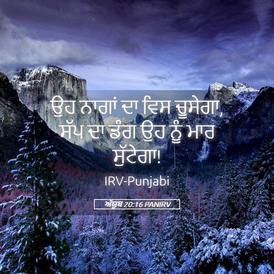 Picture 05 - ਅੱਯੂਬ 20:16 PANIRV - ਉਹ ਨਾਗਾਂ ਦਾ ਵਿਸ - Bible Verse Picture